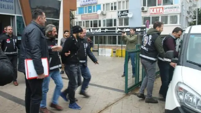 Palu ailesi
