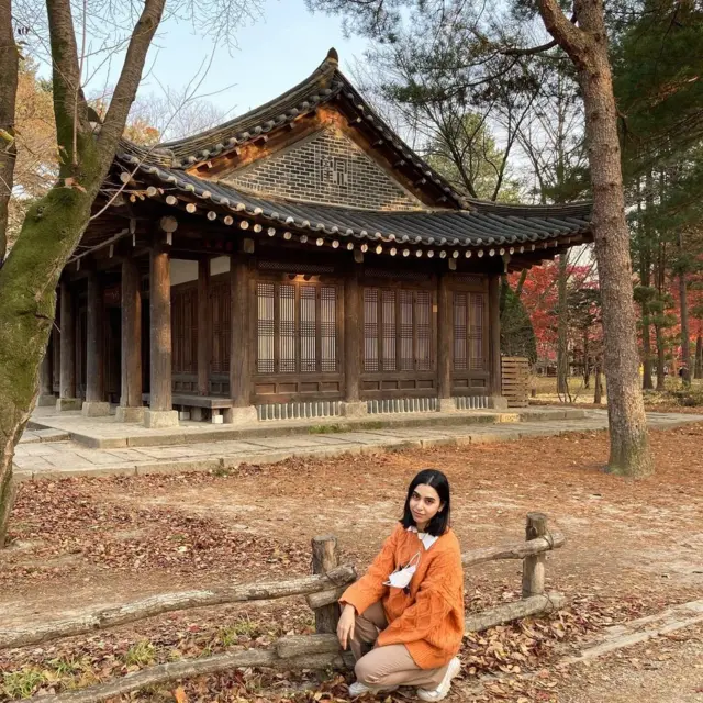 عن حساب لينا حسن على انستغرام