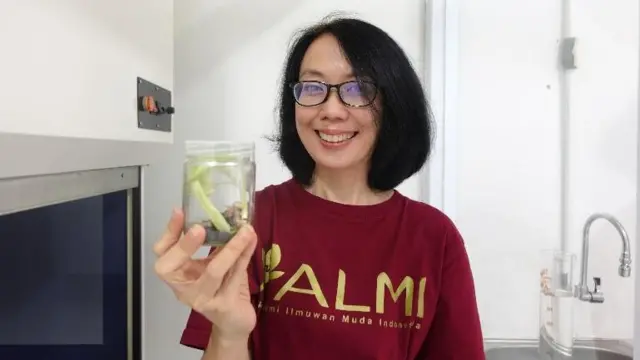 Flora Carita: Pisang