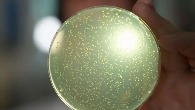 ተመራመርቲ ካብ ግዜ ናብ ግዜ ዝዓበየ ክፋላት ዲኤንኤ ደቂ ሰባት ንምፍጣር ዝሕግዙ መሳርሒታት ምምዕባል ክጅምሩ እዮም