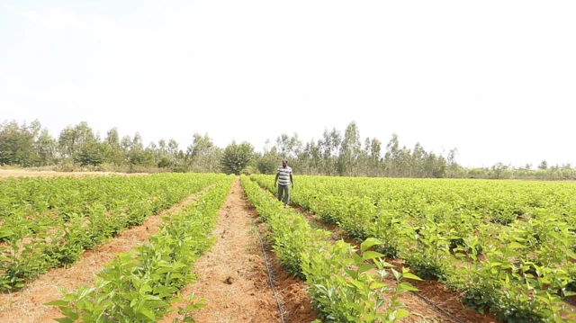 मोहन कुमार