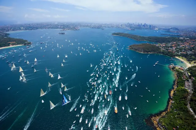 ஆஸ்திரேலியா: சிட்னி படகுப் போட்டியில் வரலாறு படைத்த பூனை