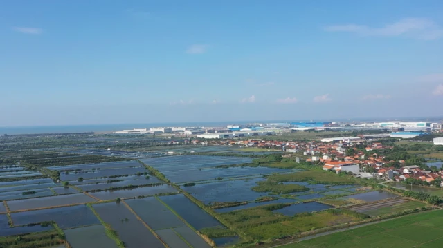 pantura, pantai utara jawa, tenggelam, PSN, KEK, industri