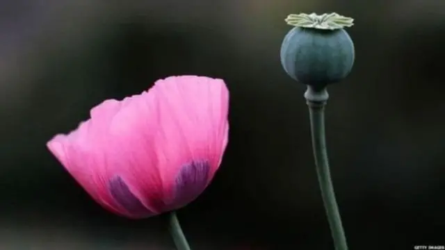 सहीराम मीणा, लाच,