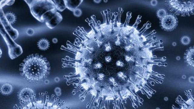 เชื้อไวรัสเอชไอวีใช้ยีน CCR5 เป็นทางผ่านเข้าสู่เซลล์ในร่างกายมนุษย์