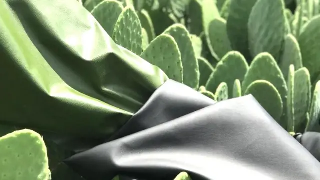 کیکٹس لیدر کی چادریں ان پودوں کے ساتھ جن سے وہ بنائی گئی ہیں