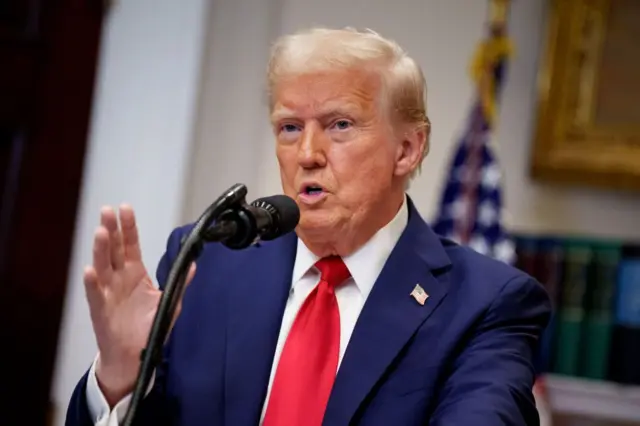 Sau khi nhậm chức, ông Trump đã ký sắc lệnh hoãn thi hành đạo luật cấm TikTok trong vòng 75 ngày và cho phép các kho ứng dụng mở lại việc tải app