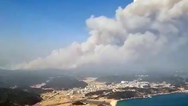 4일 오전 11시 17분 경북 울진군 북면 두천리 289 산불 발생
