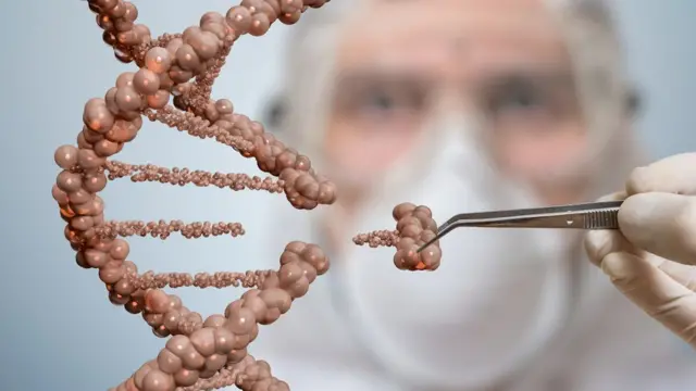 Ingeniería genética