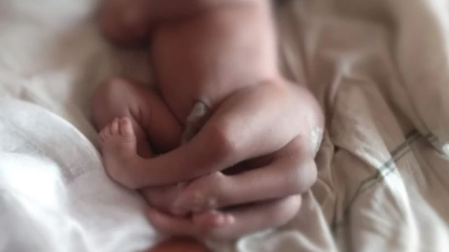 కవల పిల్లలు