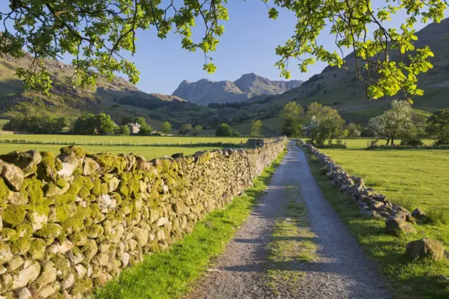 Дорога между каменными изгородями, уходящая в горы