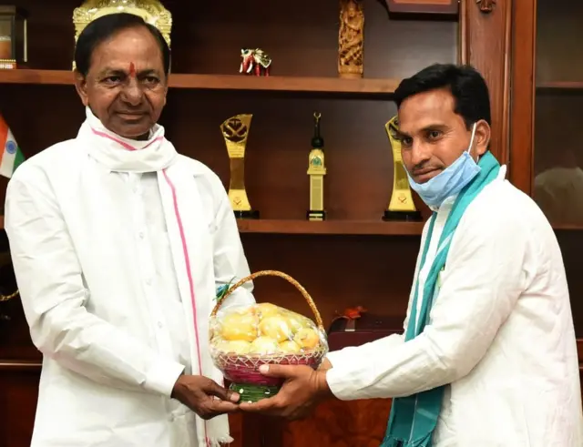 తెలంగాణలో యాపిల్ పండ్లు