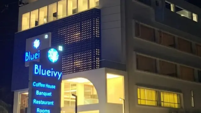 બ્લ્યૂ આઈવી