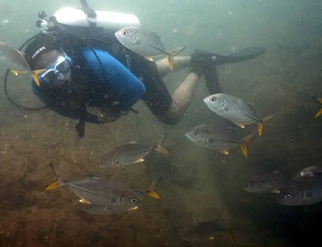 ప్లాటిపస్ ఎస్కేప్స్ స్కూబా డైవింగ్ గ్రూప్ సభ్యులు