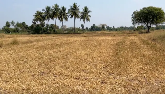 வந்தவாசி பஞ்சமி நிலம்