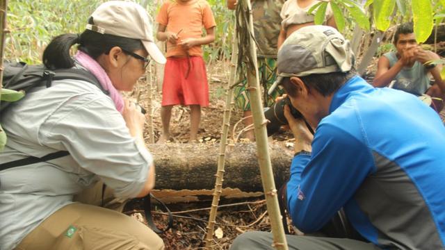 Expediçãoregras do sportingbetinvestigaçãoregras do sportingbetcogumelos Sonöma