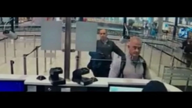 કાર્લોસ ગોનને જાપાનથી ભાગવામાં મદદ કરવા માટે માઇકલ ટેયલર અને તેમના પુત્ર પીટરે પોતાની જાતને મ્યુઝિશિયન ગણાવ્યા