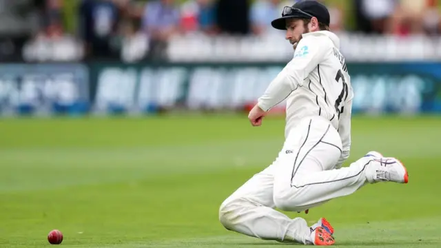 india new zealand test cricket