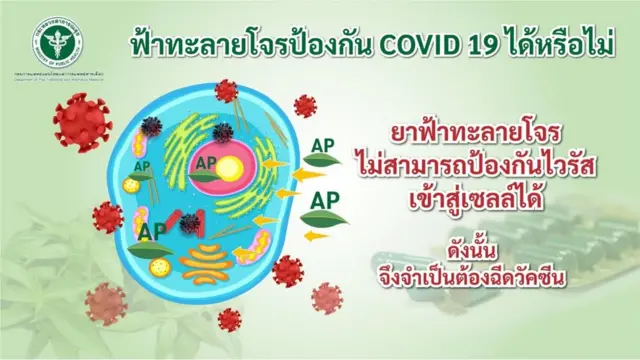 ยาฟ้าทะลายโจร