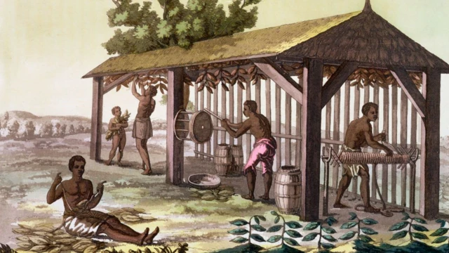 Kölelik düzeni ABD'de 200 yl sürdü.