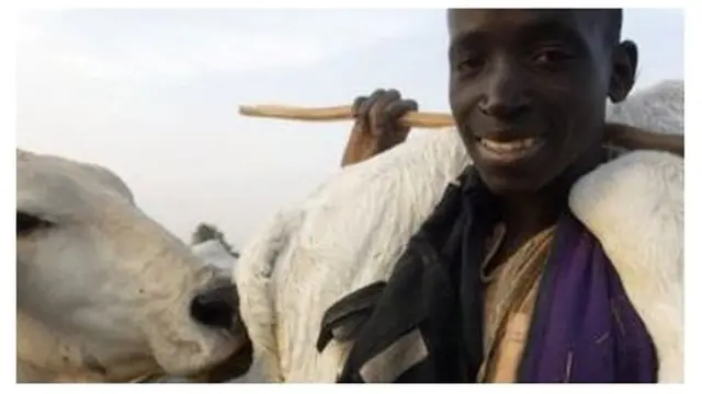 나이지리아는 가축과 연관된 공동체 간의 분쟁으로 수년 동안 고통을 겪어왔다.