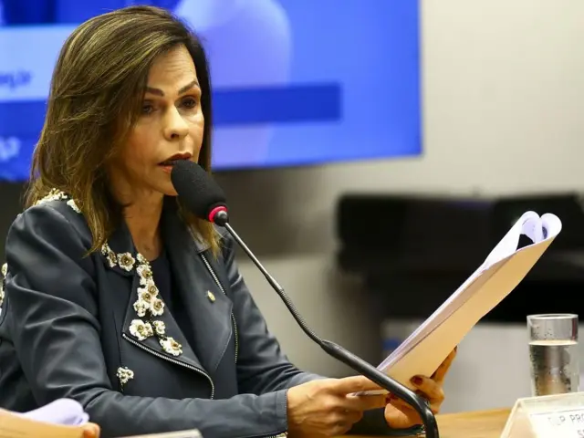 Votação do relatório do Fundeb, da deputada Professora Dorinha, apressou ruptura de partidos