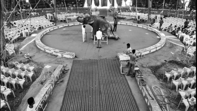 world photography day