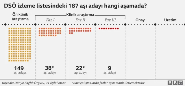 Aşı adayları hangi aşamada