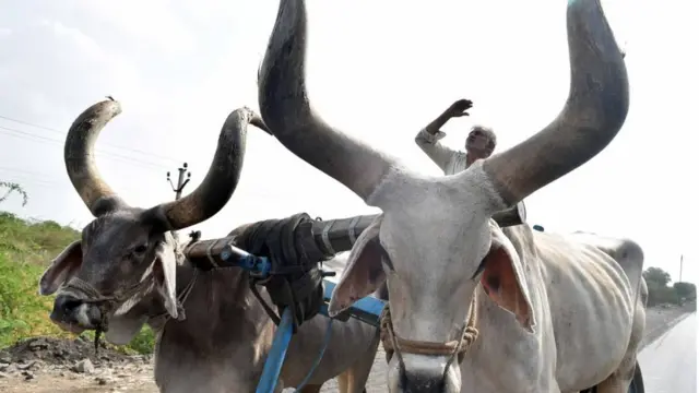 ખેડૂત દેવું