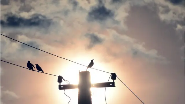 సమ్మర్ సోల్స్టైస్