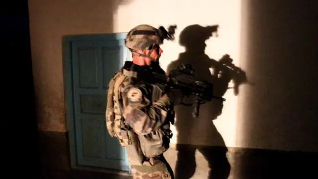 بهرني ځواکونه