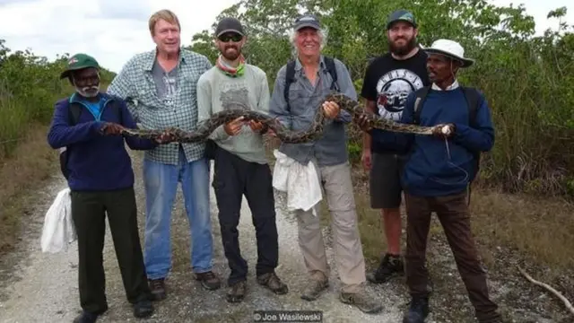 अजगर पकड़े भारतीय