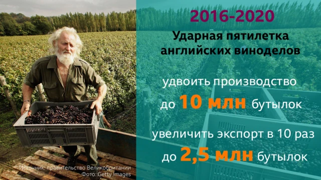 Пятилетка английских виноделов