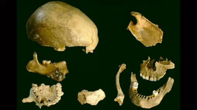 Restos de la cueva de Gough