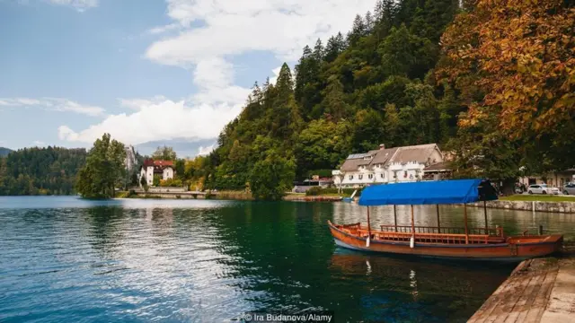 வேகமாக தொழில் வளர்ச்சி அடைந்து வரும் நகரங்களின் சுற்றுச்சூழல் மாசுபாடுகளின் பாதிப்புகளில் துன்புறும் நகரவாசிகளுக்கு, இயற்கை மற்றும் நல்ல ஆரோக்கியத்தைத் தருவது என்பதாக ரிக்லியின் சிகிச்சை முறை அமைந்திருந்தது.