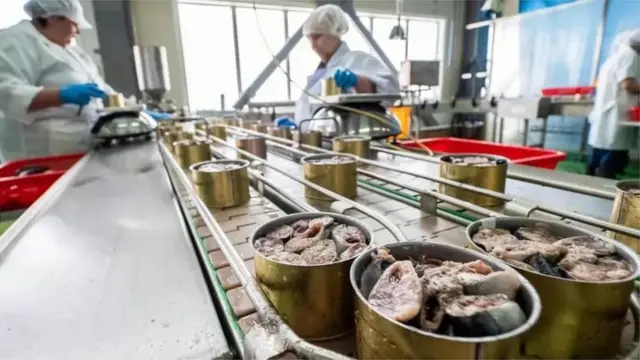 Konservalangan baliq