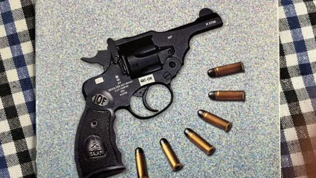 आयुषीच्या घरी पडलेली रिव्हॉल्व्हरची पुस्तिका