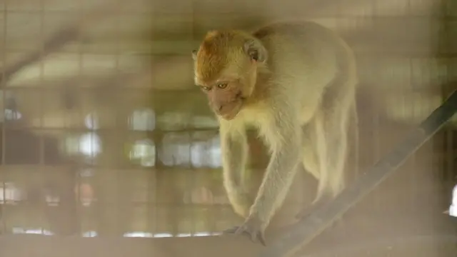 Mini di tempat rehabilitasi