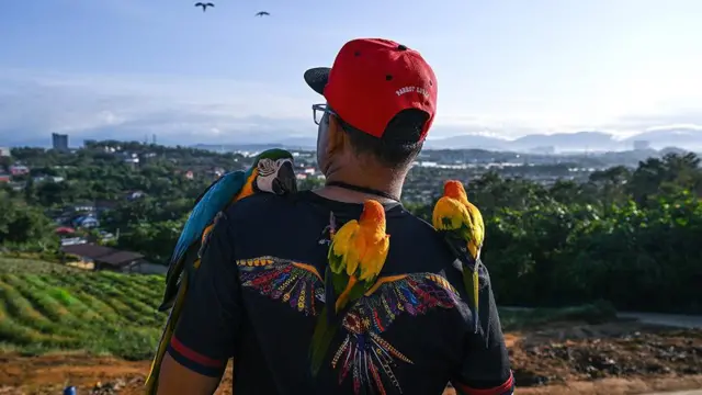 এক লোকের পিঠে তিনটি টিয়া পাখি