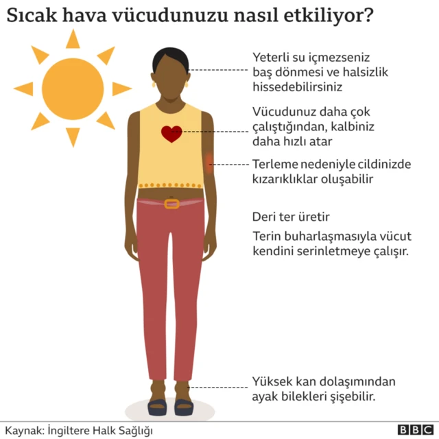 Sıcak havanın vücudu nasıl etkilediğini gösteren grafik
