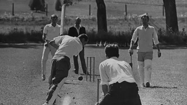 క్రికెట్