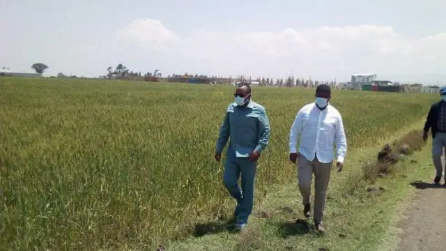 MM Abiy fi pirezidant Shimallis oyiruu qonnaa arsiitti yeroo daawwatanitti