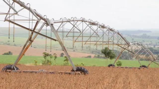 Plantaçãocomo ganhar no placar betssojacomo ganhar no placar betsBrasília