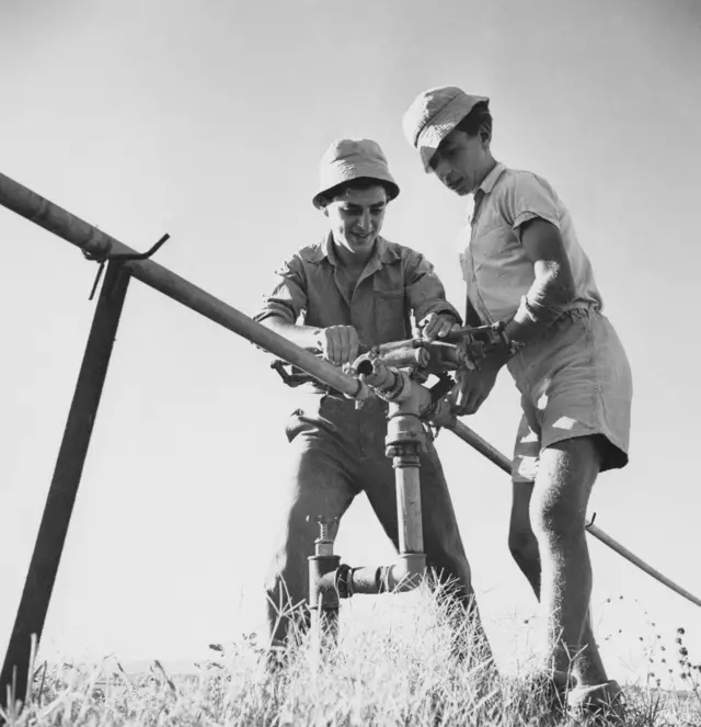 इसराइल, सिंचाई तकनीक (फ़ाइल फ़ोटो)