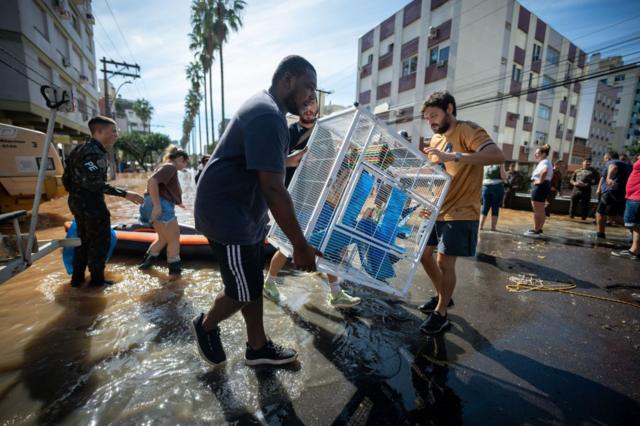 Moradores transportam gaiola com pssaros em rea alagada