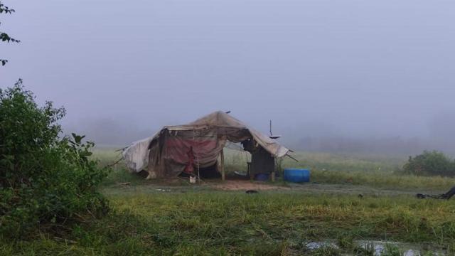 இலங்கை, மட்டக்களப்பு, தமிழர்கள், சிங்களர்கள், விவசாயம், கால்நடை, மாடுகள்