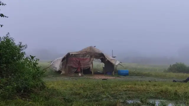 இலங்கை, மட்டக்களப்பு, தமிழர்கள், சிங்களர்கள், விவசாயம், கால்நடை, மாடுகள் 