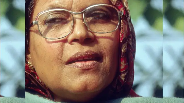 सैय्यदा अनवरा तैमूर