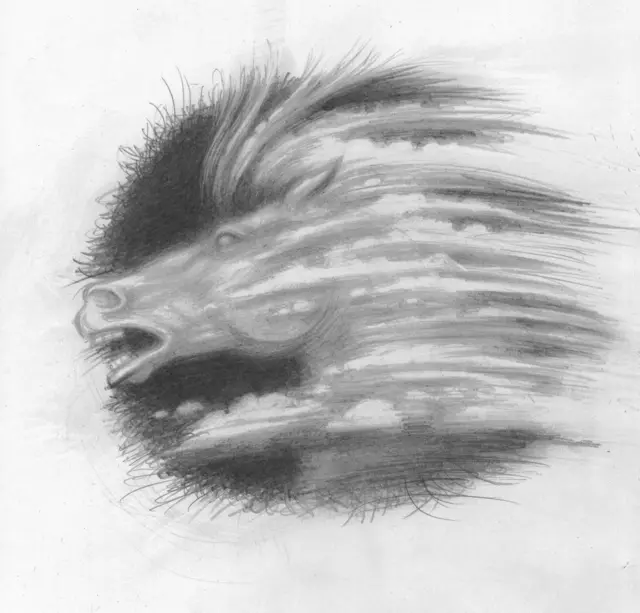 Графічна ілюстрація Катерини Штанко - голова коня, оповитого хмарами