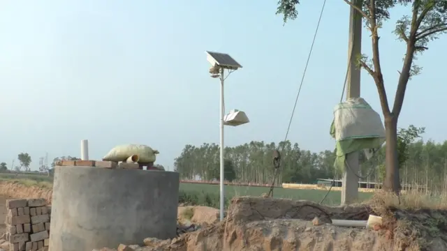 ਫੇਰੋਮੋਨ ਮਸ਼ੀਨ